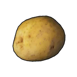 Potato