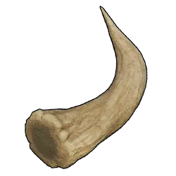 Horn