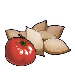 TomatoSeeds