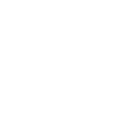 하늘에서 온 습격자